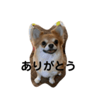 紋二郎と二葉 3（個別スタンプ：17）
