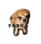 紋二郎と二葉 3（個別スタンプ：18）