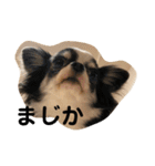 紋二郎と二葉 3（個別スタンプ：26）