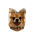 紋二郎と二葉 3（個別スタンプ：27）