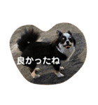 紋二郎と二葉 3（個別スタンプ：29）