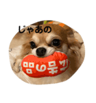 紋二郎と二葉 3（個別スタンプ：30）