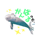 海。空撮スタンプ(13)（個別スタンプ：10）