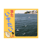 海。空撮スタンプ(13)（個別スタンプ：16）