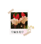 ゆきちゃん宅スタンプ4（個別スタンプ：4）