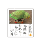 ゆきちゃん宅スタンプ4（個別スタンプ：8）