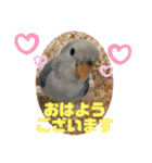 ゆきちゃん宅スタンプ4（個別スタンプ：11）
