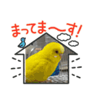 ゆきちゃん宅スタンプ4（個別スタンプ：14）
