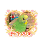 ゆきちゃん宅スタンプ4（個別スタンプ：15）