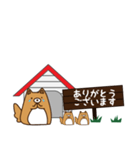HOUSE犬【敬語】（個別スタンプ：3）