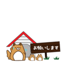 HOUSE犬【敬語】（個別スタンプ：4）