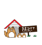 HOUSE犬【敬語】（個別スタンプ：11）