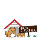 HOUSE犬【敬語】（個別スタンプ：13）