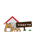 HOUSE犬【敬語】（個別スタンプ：17）