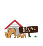 HOUSE犬【敬語】（個別スタンプ：18）