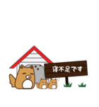 HOUSE犬【敬語】（個別スタンプ：31）