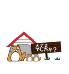 HOUSE犬【敬語】（個別スタンプ：36）