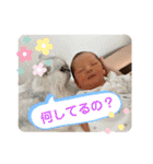 りんぼーさまは天才（個別スタンプ：26）