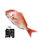 さかな サカナ 魚 fish（個別スタンプ：2）
