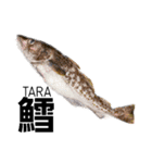 さかな サカナ 魚 fish（個別スタンプ：3）