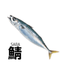 さかな サカナ 魚 fish（個別スタンプ：7）