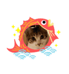 愉快な犬猫3（個別スタンプ：14）