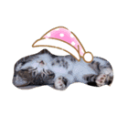 愉快な犬猫3（個別スタンプ：16）