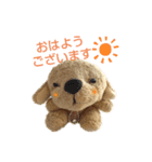 ぬいぐるみわんわんのスタンプ（個別スタンプ：1）