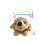 ぬいぐるみわんわんのスタンプ（個別スタンプ：2）