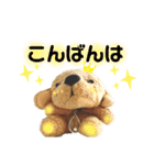 ぬいぐるみわんわんのスタンプ（個別スタンプ：3）