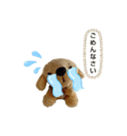 ぬいぐるみわんわんのスタンプ（個別スタンプ：5）