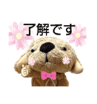 ぬいぐるみわんわんのスタンプ（個別スタンプ：8）
