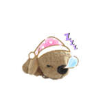 ぬいぐるみわんわんのスタンプ（個別スタンプ：11）