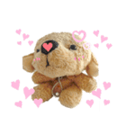 ぬいぐるみわんわんのスタンプ（個別スタンプ：12）