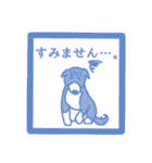 柴犬判子風スタンプ（個別スタンプ：6）