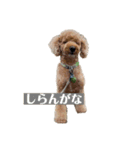 デカプー丼（個別スタンプ：6）