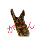 魚三昧ver12（個別スタンプ：1）
