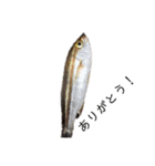 魚三昧ver12（個別スタンプ：3）