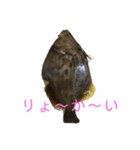 魚三昧ver12（個別スタンプ：7）