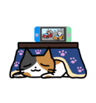 みけねこの定番スタンプ（個別スタンプ：29）