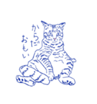 キジトラ猫のせんべい（個別スタンプ：1）