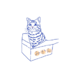 キジトラ猫のせんべい（個別スタンプ：5）