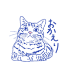 キジトラ猫のせんべい（個別スタンプ：13）