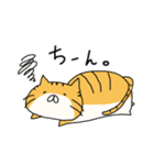 ごまねこ日和2（個別スタンプ：16）