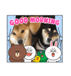 柴犬モコ＆稲穂 LINEキャラクター（個別スタンプ：1）