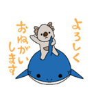 コアラとサメの不思議な仲間たち5 あいさつ（個別スタンプ：24）