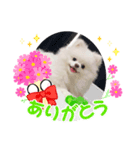 モコたすスタンプ2（個別スタンプ：1）