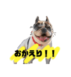 ベアル（個別スタンプ：1）