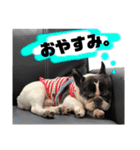 ベアル（個別スタンプ：2）