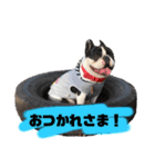 ベアル（個別スタンプ：3）